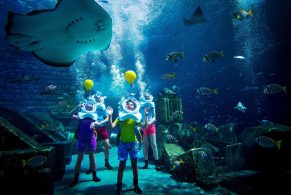 Atlantis, The Palm, Shark Safari